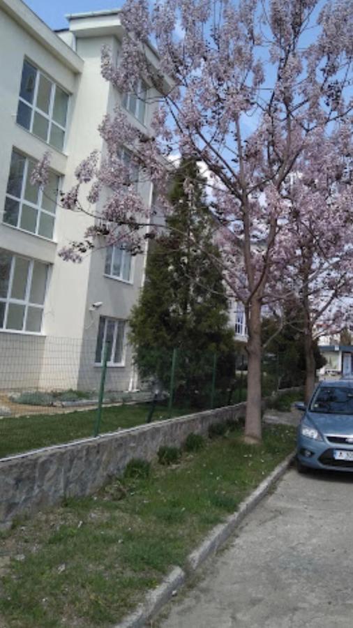 Rutland Sp Apartments رافدا المظهر الخارجي الصورة